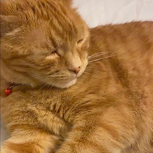 Meet your Posher, Tra